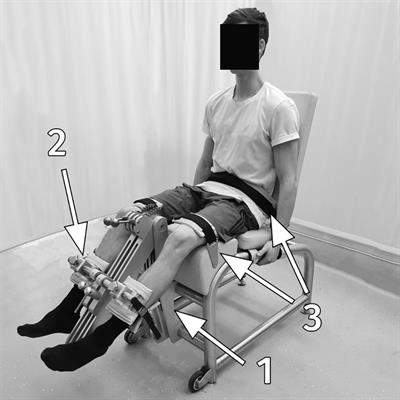 Quantification of Inter-Limb Symmetries With Rate of Force Development and Relaxation Scaling Factor